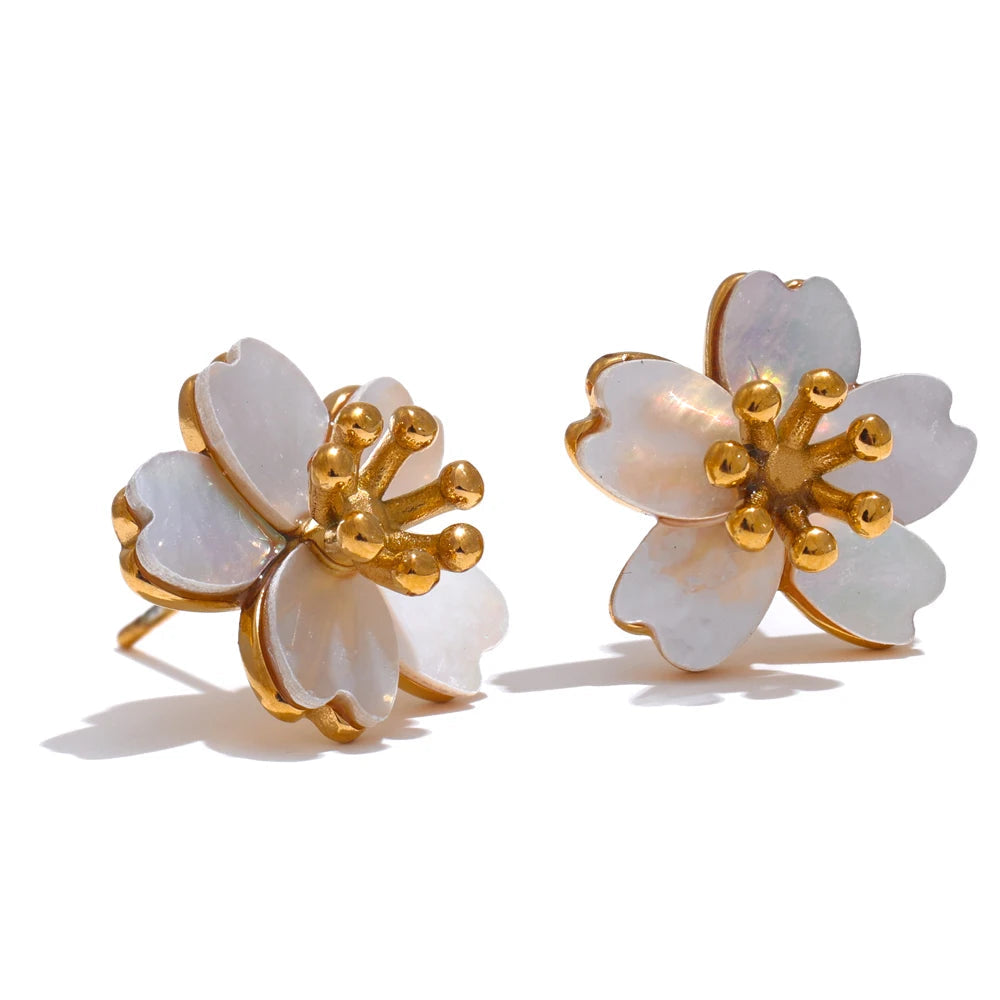 Brinco Shell Golden Khosh Brand