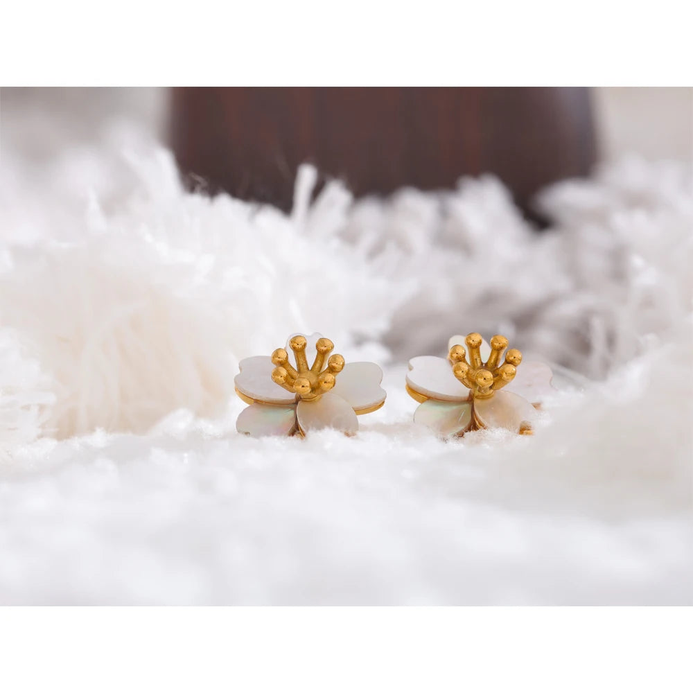 Brinco Shell Golden Khosh Brand