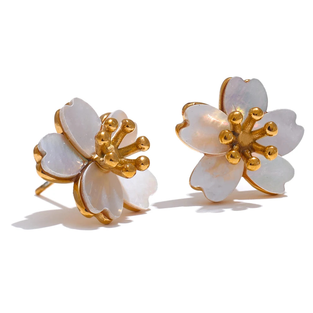 Brinco Shell Golden Khosh Brand